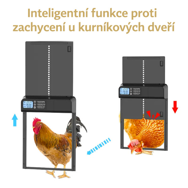 dvirka_ke_kurniku_popis1.jpg