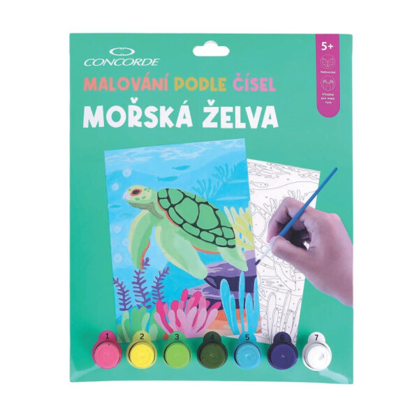 Concorde Malování podle čísel - Mořská želva