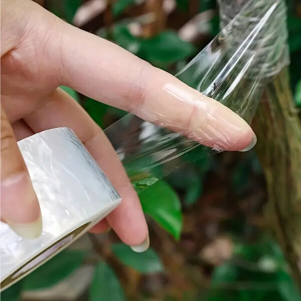 paska_roubovaci_eden_detail.jpg