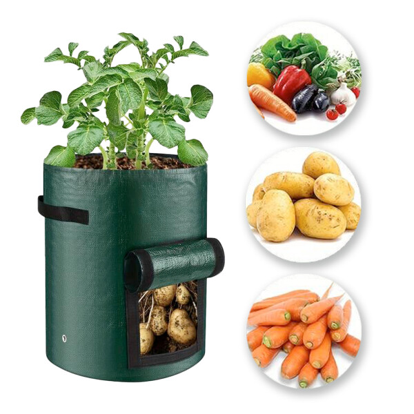pytel_pestovani_veggie_1.jpg